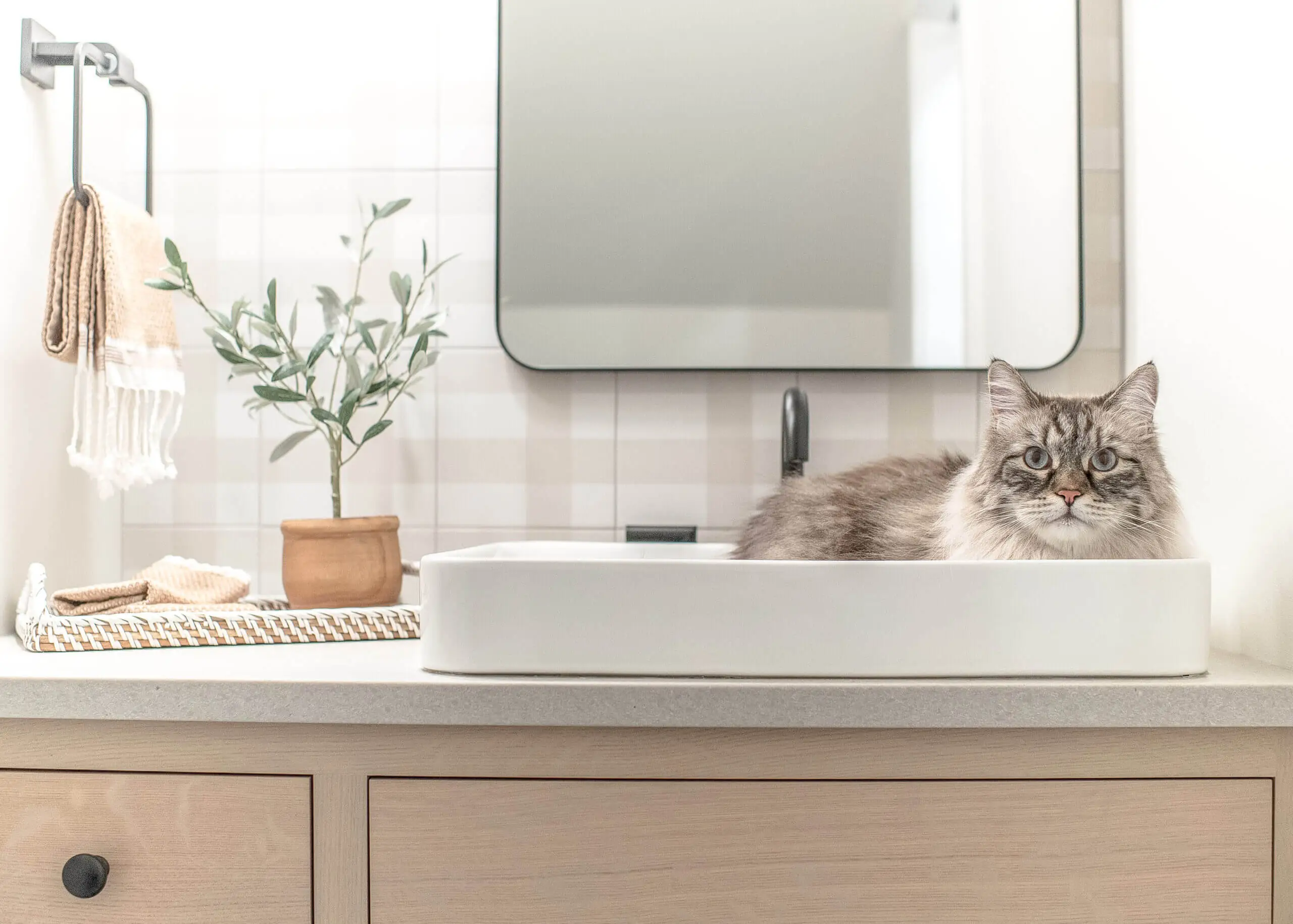 Todd H Carlson Photo THC | Reflections Interior Design